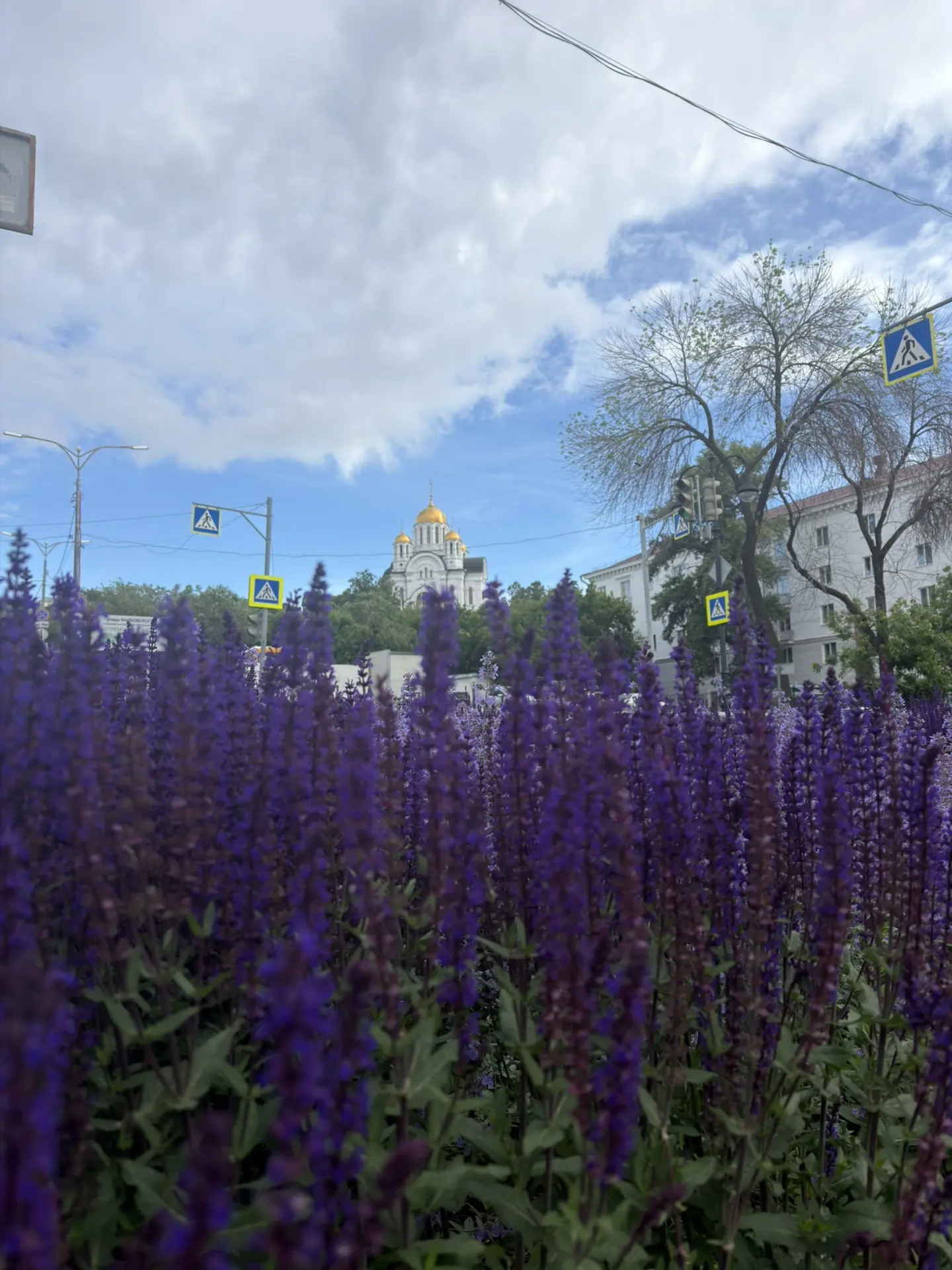 Доброе утро, дорогие! ☀️
8 июня, пн. 
Седмица 2-я по Пятидесятнице

Петров пост
8 июня 2026 года нач
