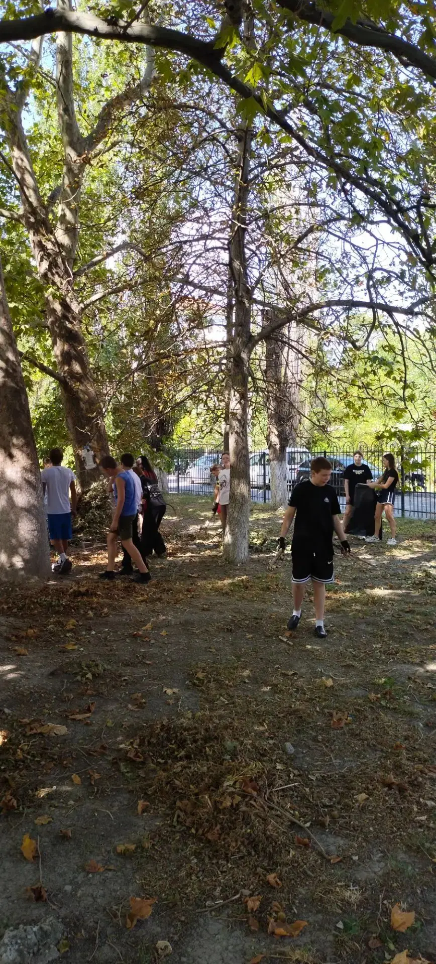 Волонтеры в деле! 🧹✨