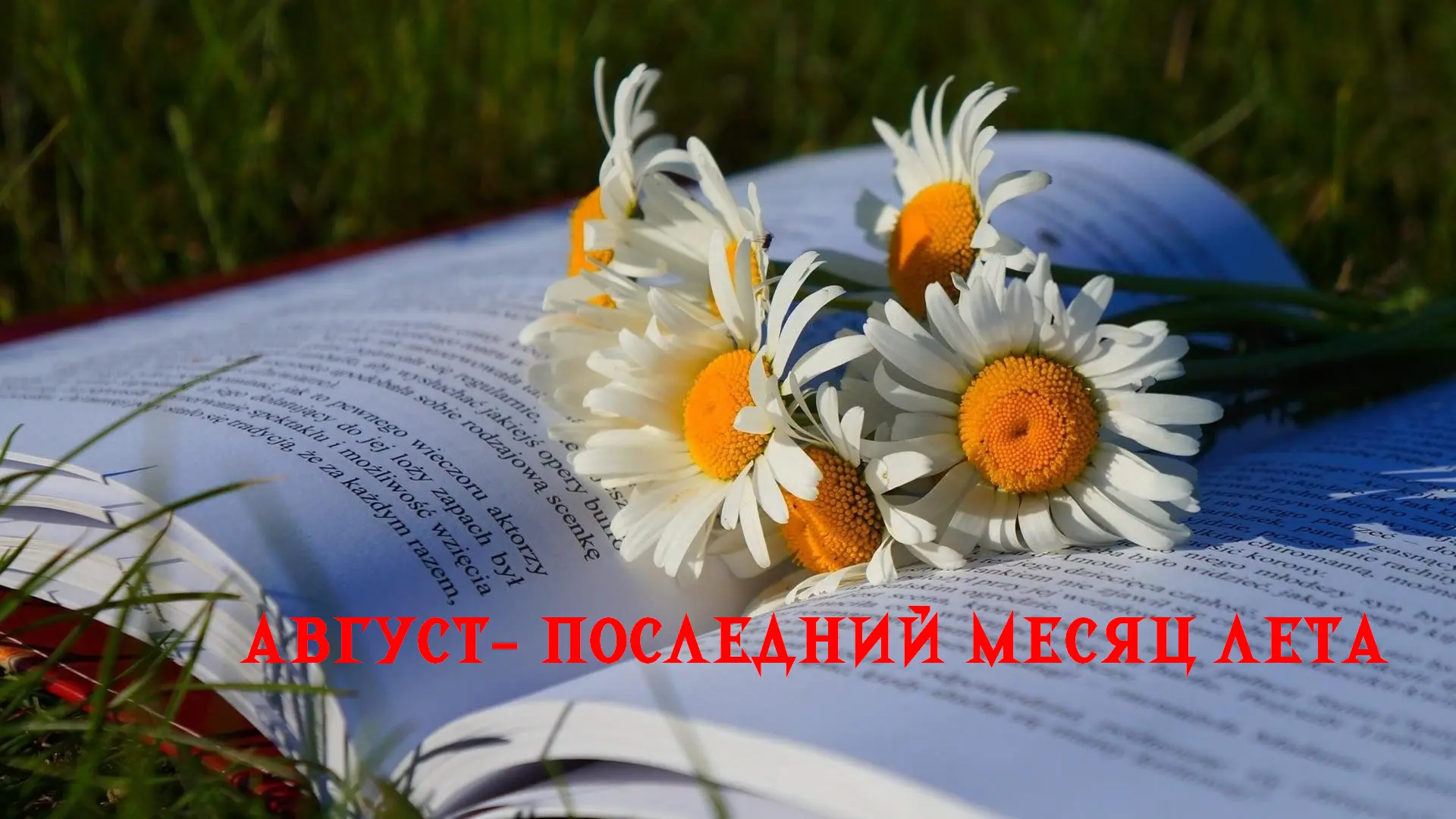 Август — последний месяц лета, щедрый на тепло, урожай и яркие краски. Но знаете ли вы,...
