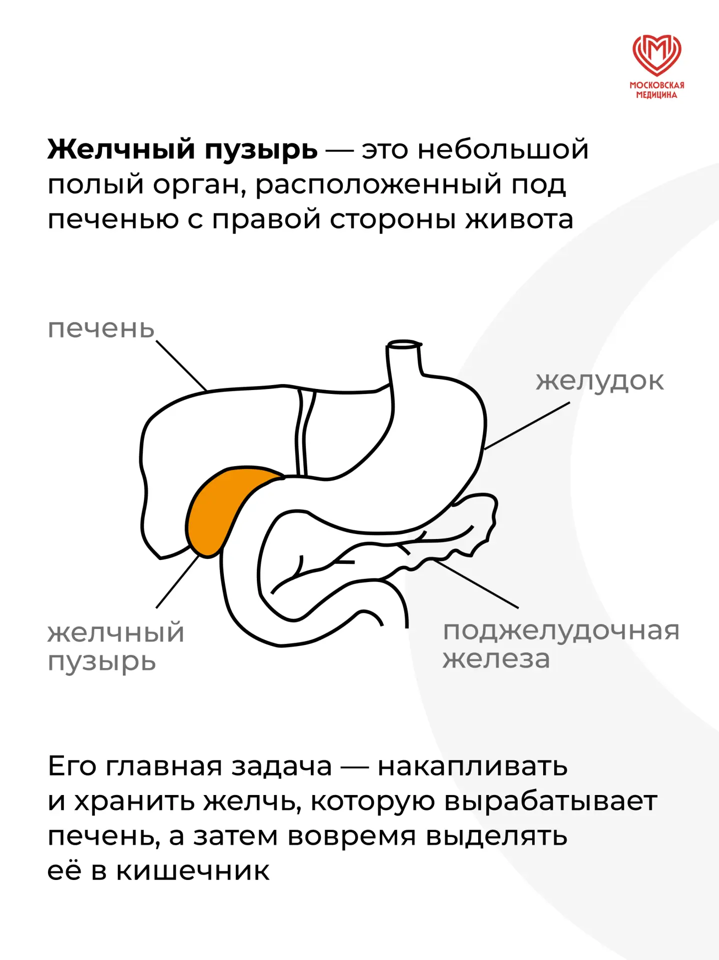 Изображение 2 к публикации «Московская медицина»
