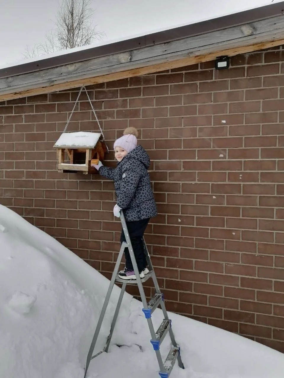 🌨️ Зима уходит, но забота о пернатых друзьях продолжается!
