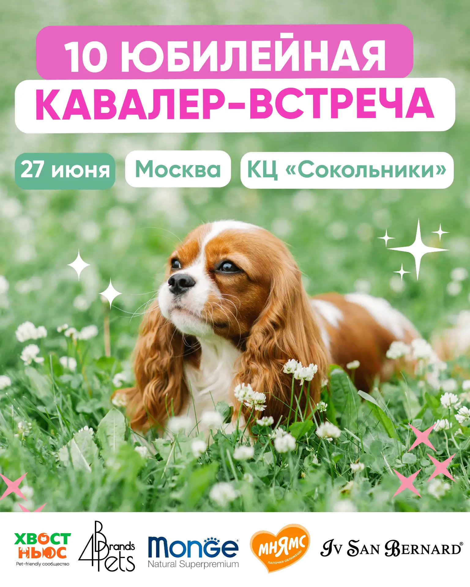 27 июня в Москве пройдет 10 юбилейная Кавалер-Встреча для любителей породы кавалер-кинг-чарльз-спани