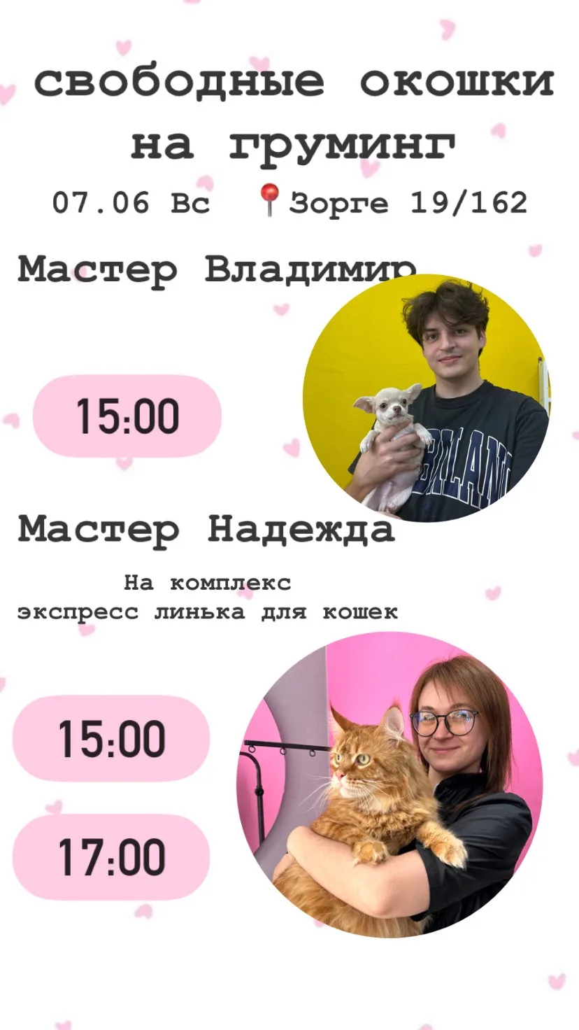 Свободные окошки на Груминг ✂️