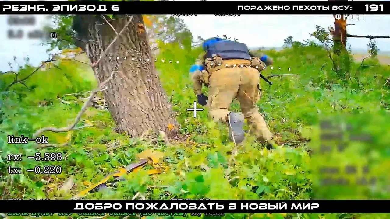 Изображение 8 к публикации «Военный Осведомитель»
