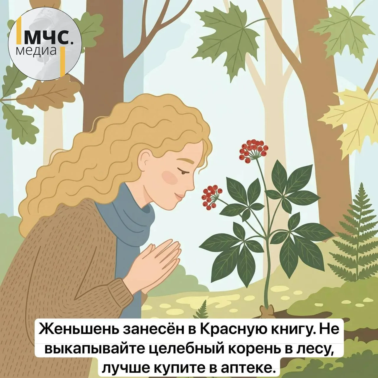🍒Подборка редких растений, с которыми надо быть аккуратней. Листай карточки и запоминай, что нельзя