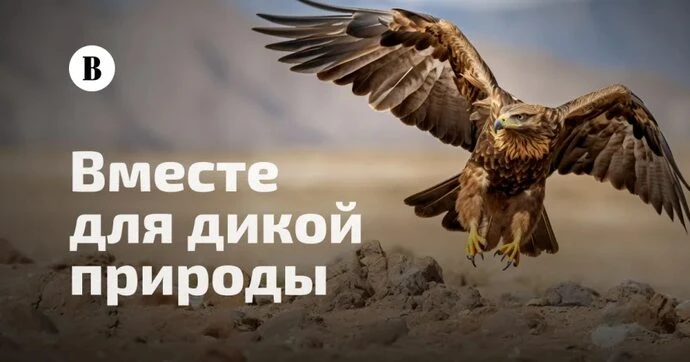 "Вместе для дикой природы" - это Всероссийский проект, который стартовал в июне 2026 г....