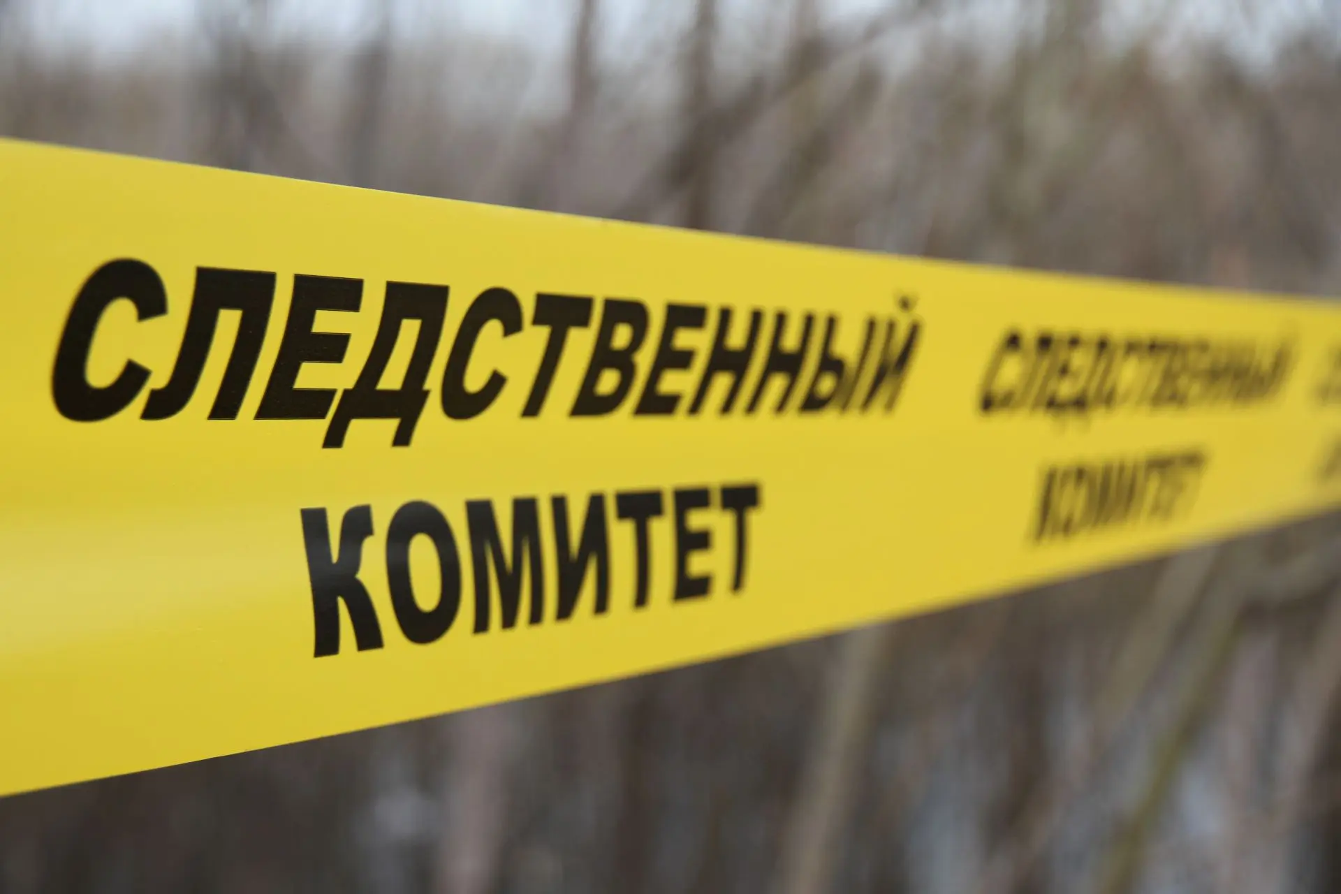 ⚖️ В городе Берёзовском перед судом предстанет местный житель, обвиняемый в хулиганстве