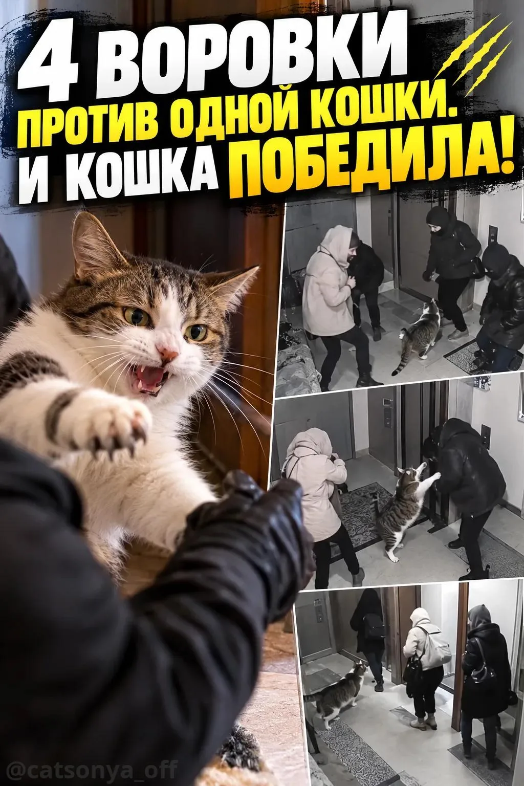 🐾 КОШКА ПРОТИВ ЧЕТЫРЁХ ВОРОВОК