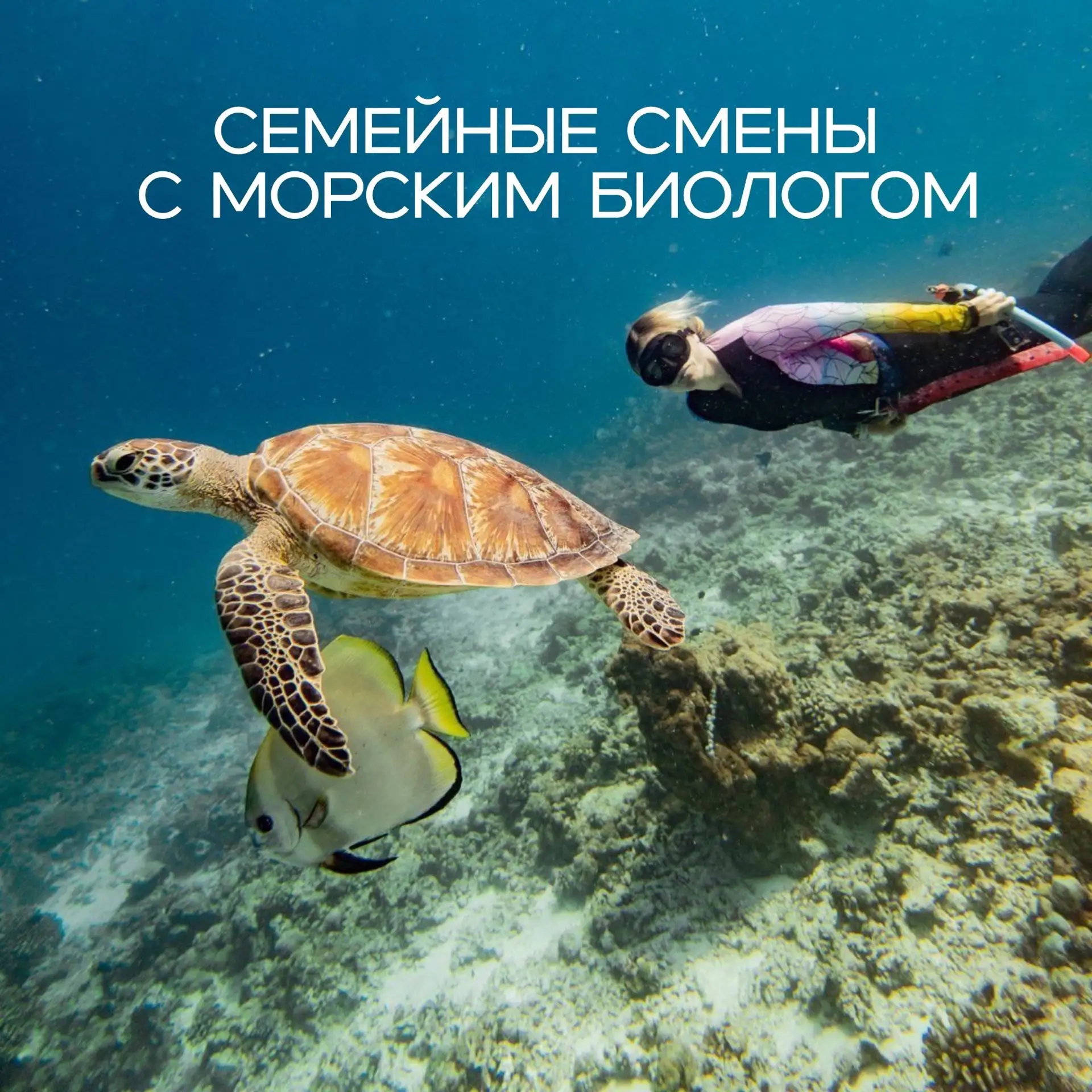 Друзья, а вы знали, что в наших сменах живёт настоящий морской биолог? 🌊🐚