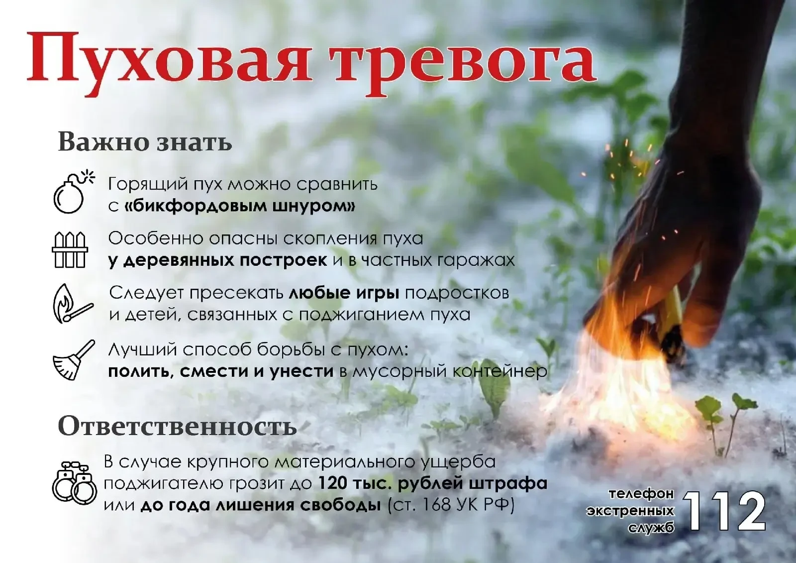 Внимание! Тополиный пух!!!