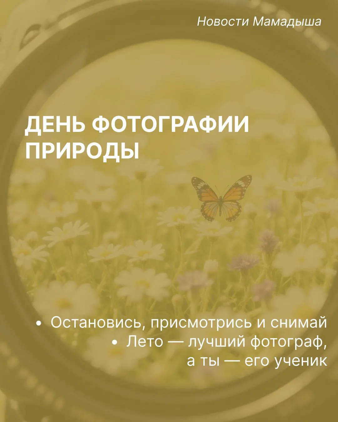 15 ИЮНЯ - ДЕНЬ ФОТОГРАФИИ ПРИРОДЫ 📸🌿Природа не требует постановочных кадров — она уже написала луч
