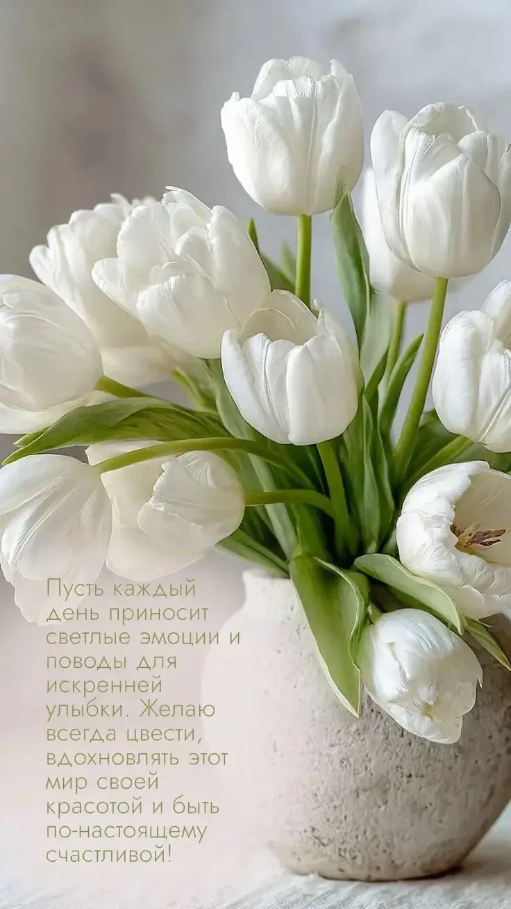 🌺ОТКРЫТКИ И ПОЗДРАВЛЕНИЯ 🌺