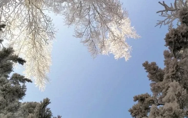 ❄️ Друзья, зима показывает свой суровый нрав — будьте на чеку! ❄️