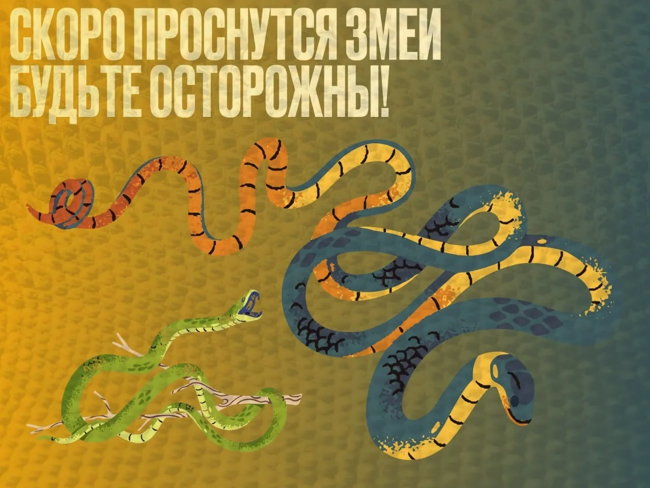 В Подмосковье с наступлением тепла начинают просыпаться змеи.  🌿 После схода снега их можно встретит