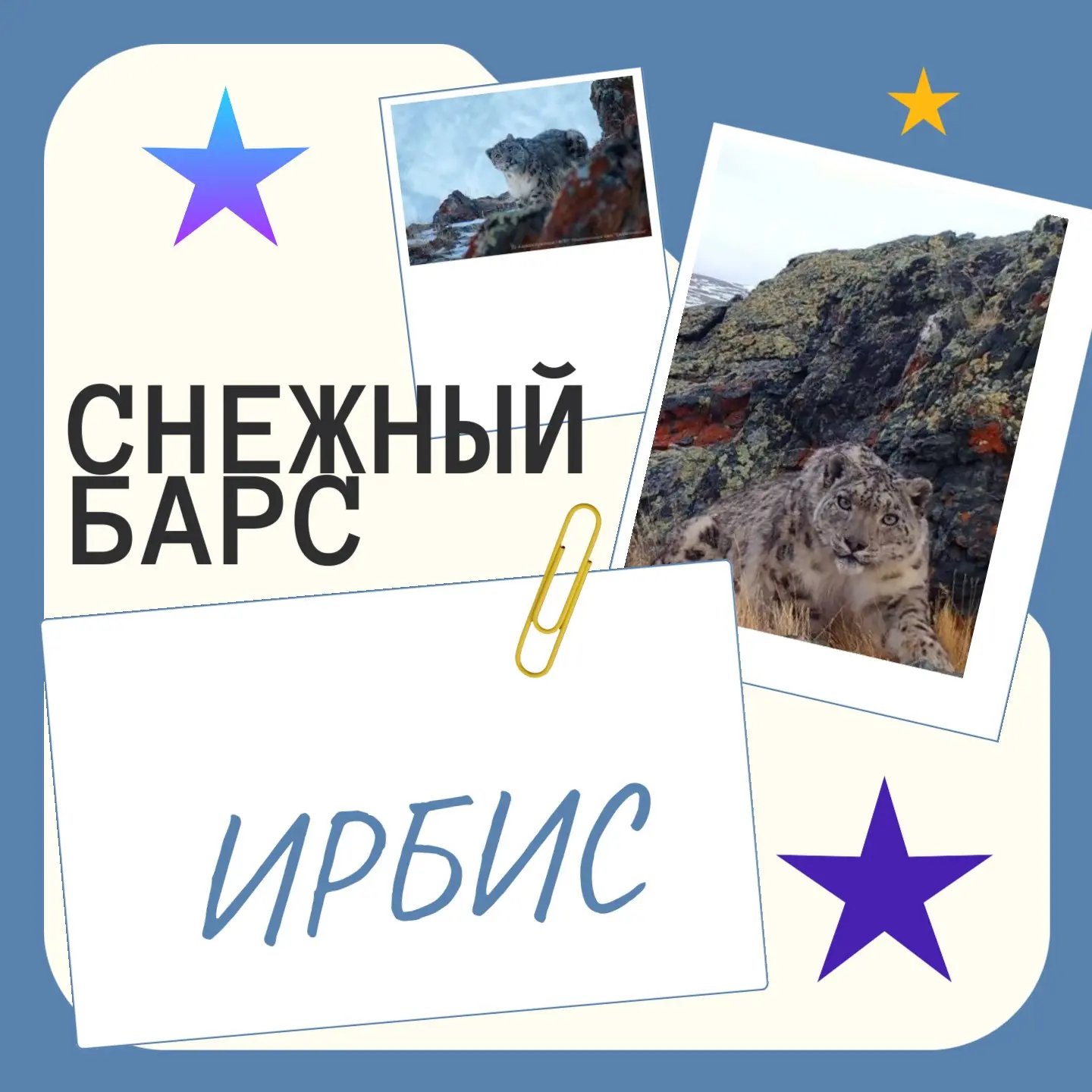 Сегодня с восходом солнца в 227-й раз «родилось» и солнце русской поэзии. С праздником,...