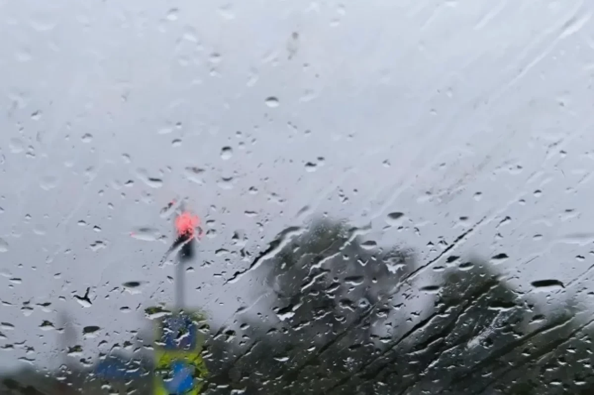 В Прикамье ожидается тёплая и дождливая неделя