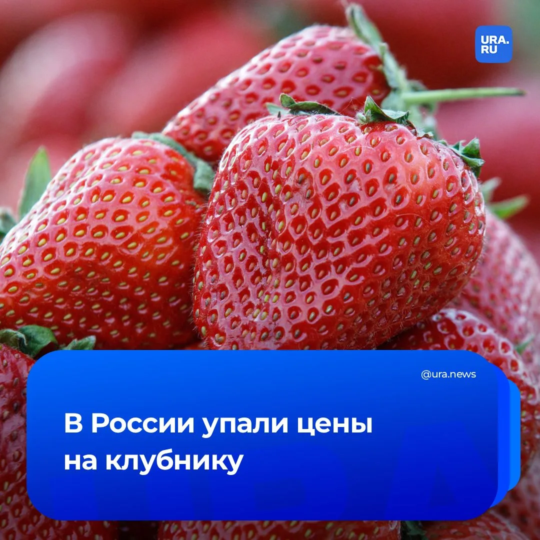 Изображение 1 к публикации «URA.RU»