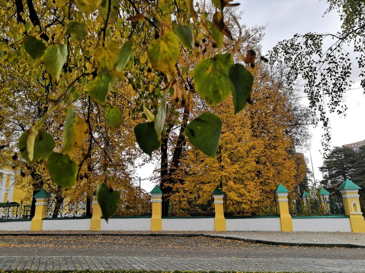🌤 Переменная облачность, без осадков и до +10°С ожидаются сегодня