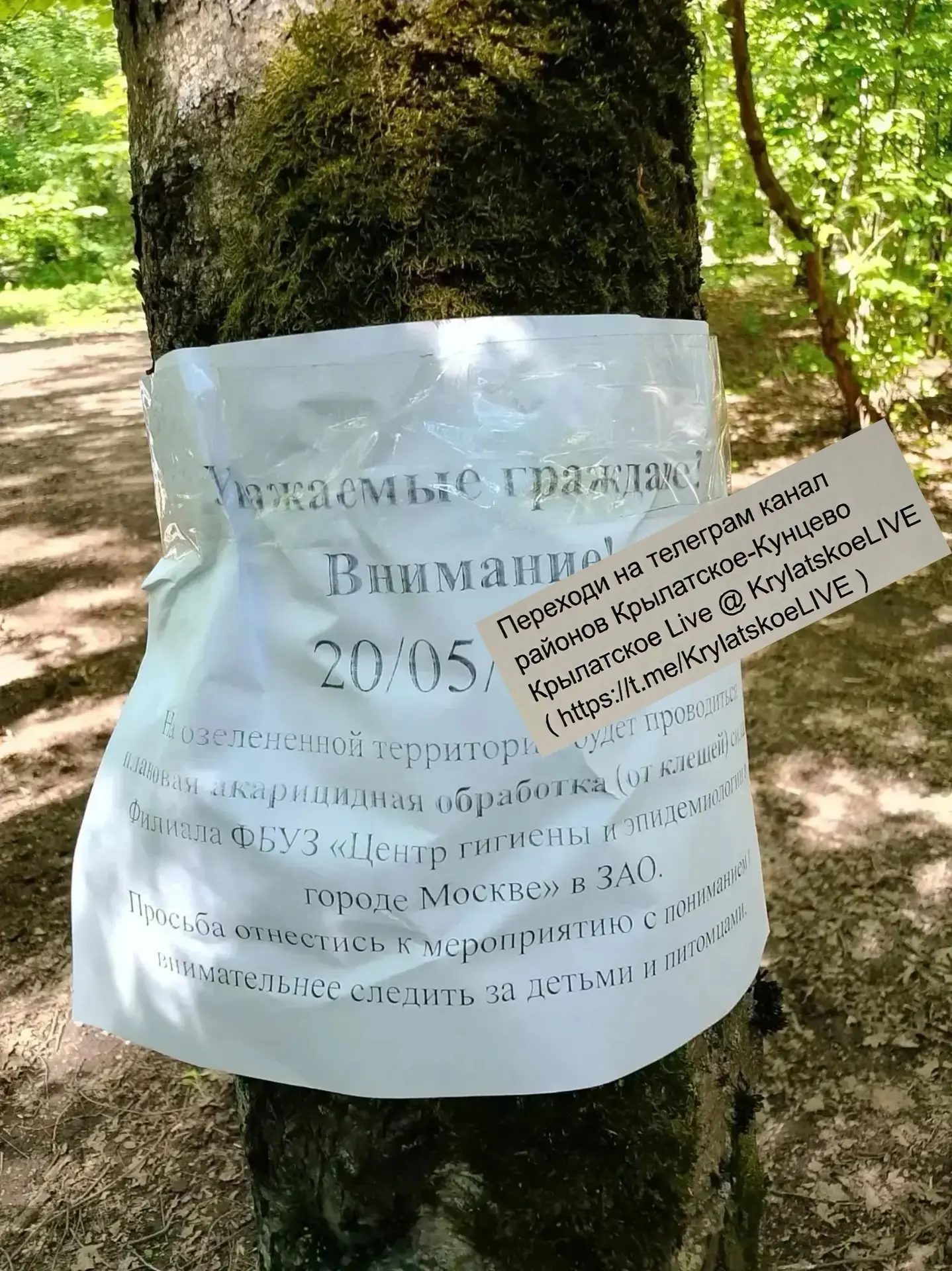 Завтра, 20 мая,  будут обрабатывать от клещей лес за  ул. Академика Павлова, 27к1, в Кунцево 🕷️   💬«