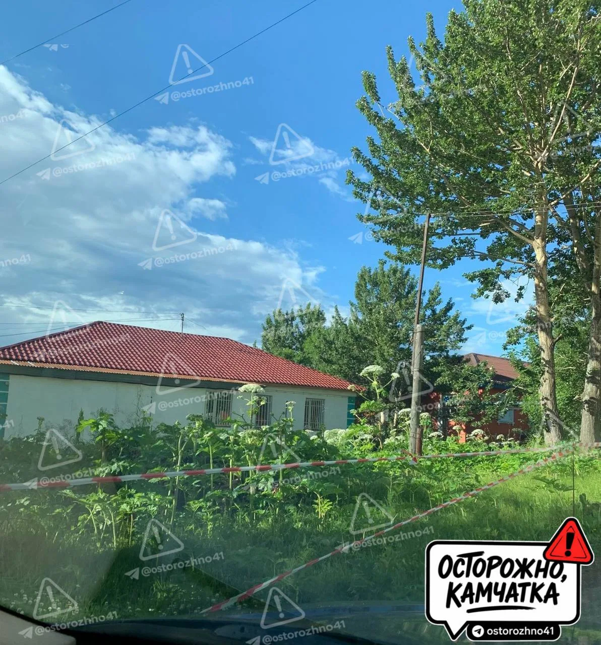 🔞  Осторожно, борщевик захватывает территорию

📍ул. Космонавтов

🔞 Обсуждай в ОСТОРОЖНО, ЧАТ