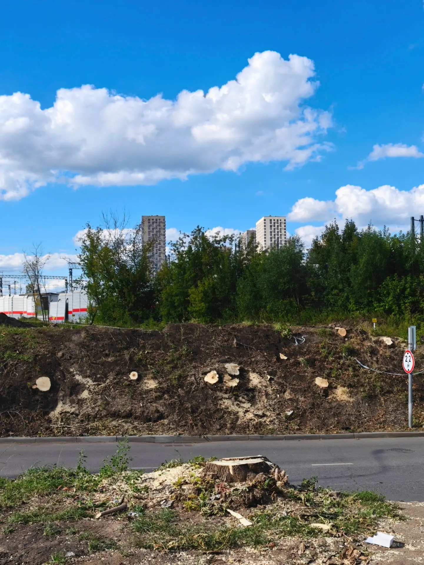 Опять деревья помешали на Складочной улице