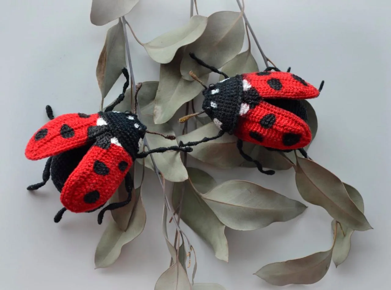 Божья коровка 🐞