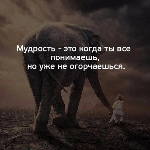 🇷🇺  Мы в МАХ : https://max.ru/dusha_angela_new