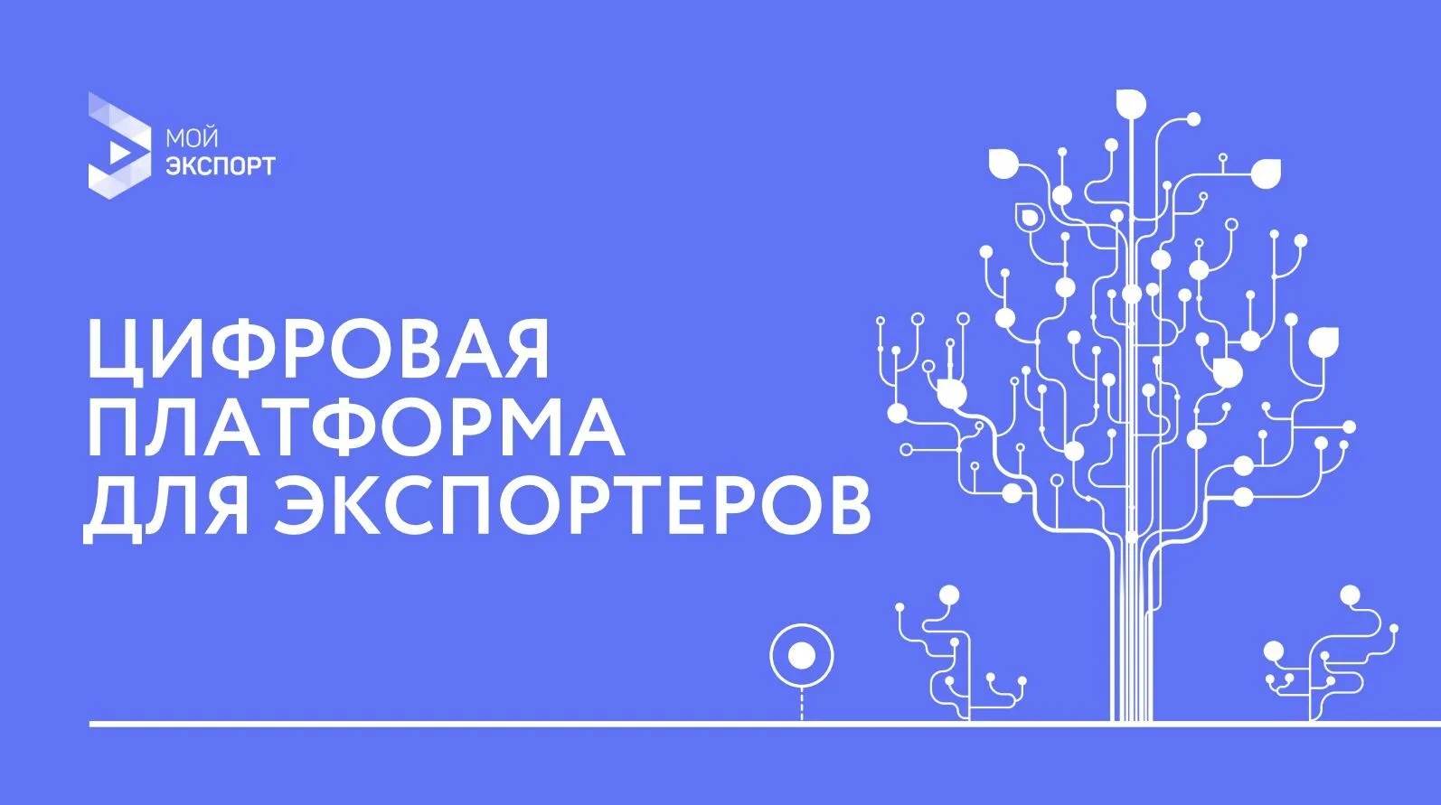 🌍 Цифровая платформа «Мой экспорт» – государственный онлайн-инструмент для предпринима...
