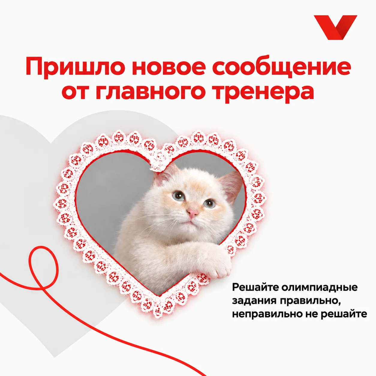 Когда попросили главного тренера поделиться секретом успеха на школьном этапе ВсОШ 🔥