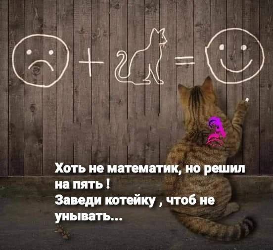 Открытки: подписаться ❤️