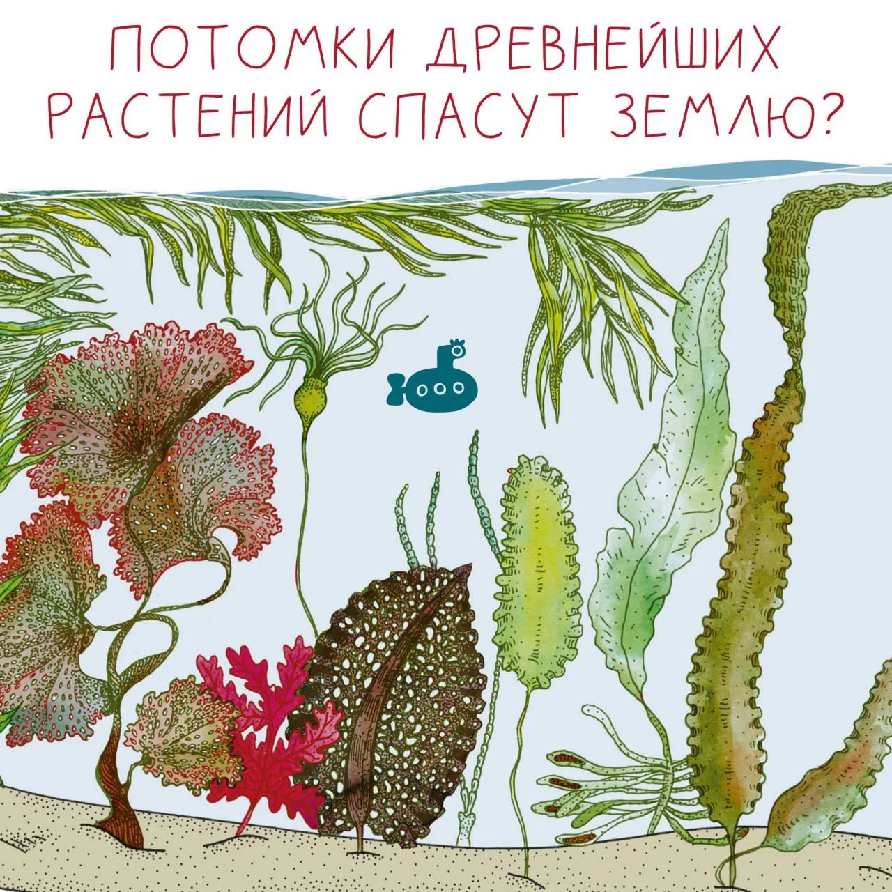 🐳 Какие организмы были древнейшими предками современных растений? Даем подсказку: ответ связан с на