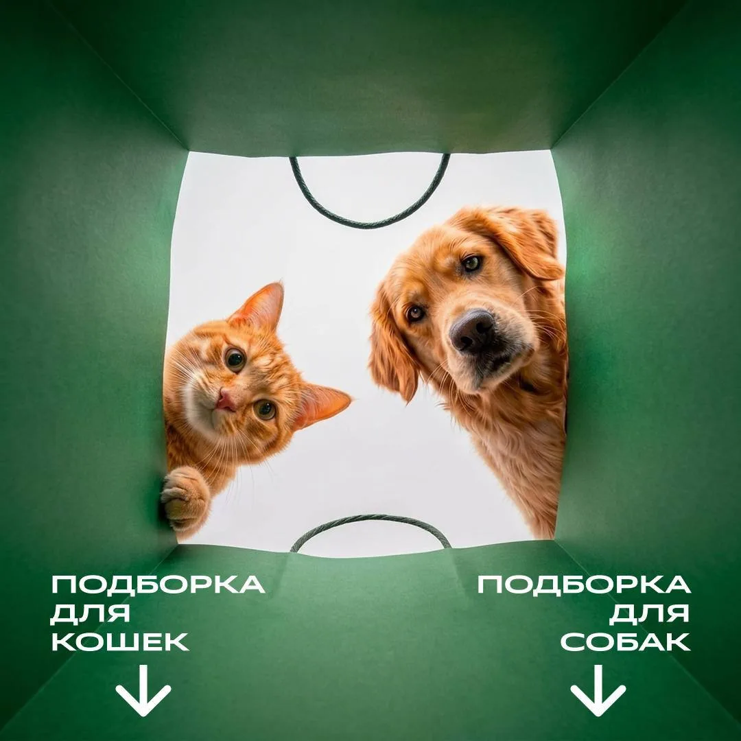 🐈 котику  ⠀ ⠀ ⠀ ⠀ ⠀🦮собачке

Для каждого питомца — своя подборка. 

Корма и лакомства собраны по к