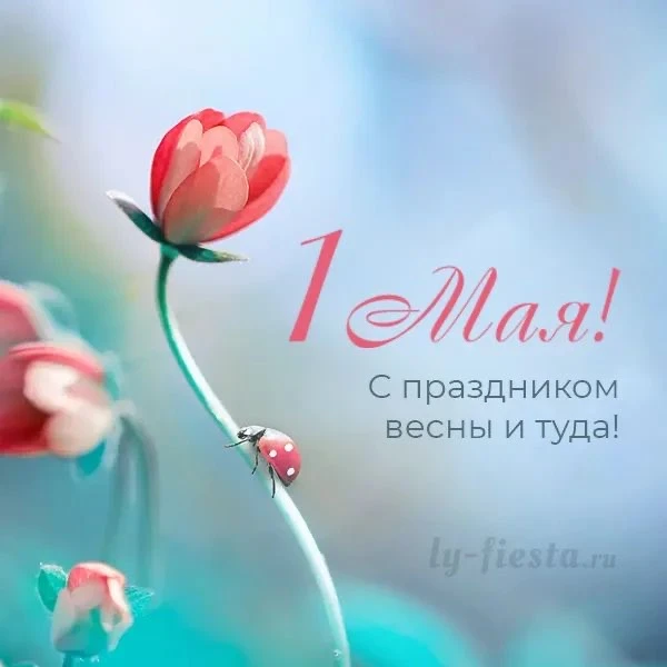 Тепло на душе, и ликует страна.
С Праздником Мира, Весны и Труда!
Пусть будет удача, пусть будет вез