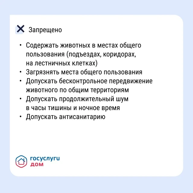 Проживание животных в многоквартирном доме связано с определёнными обязанностями. Разбираемся, как в