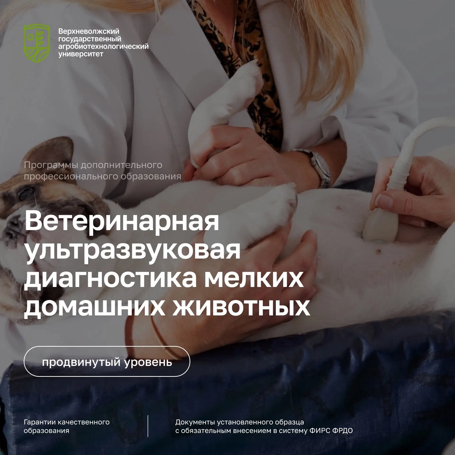 🐈🐕 Ветеринарная ультразвуковая диагностика мелких домашних животных. Продвинутый уровень.

🔥 14-1