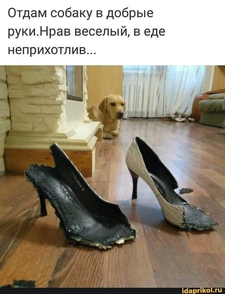 харош смеяться