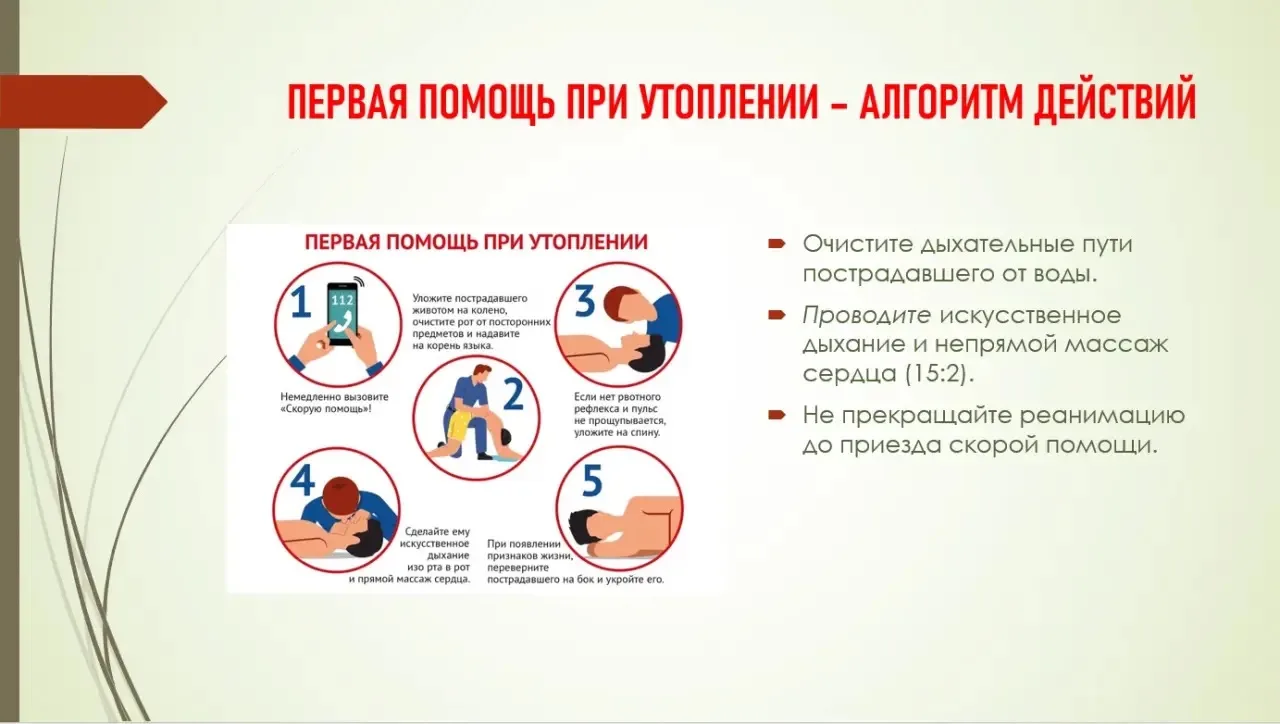 Памятки для безопасного летнего отдыха: вода, солнце, лес