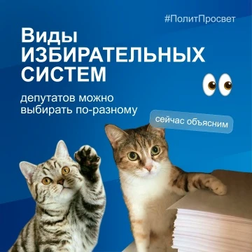 Как в России выбирают депутатов?