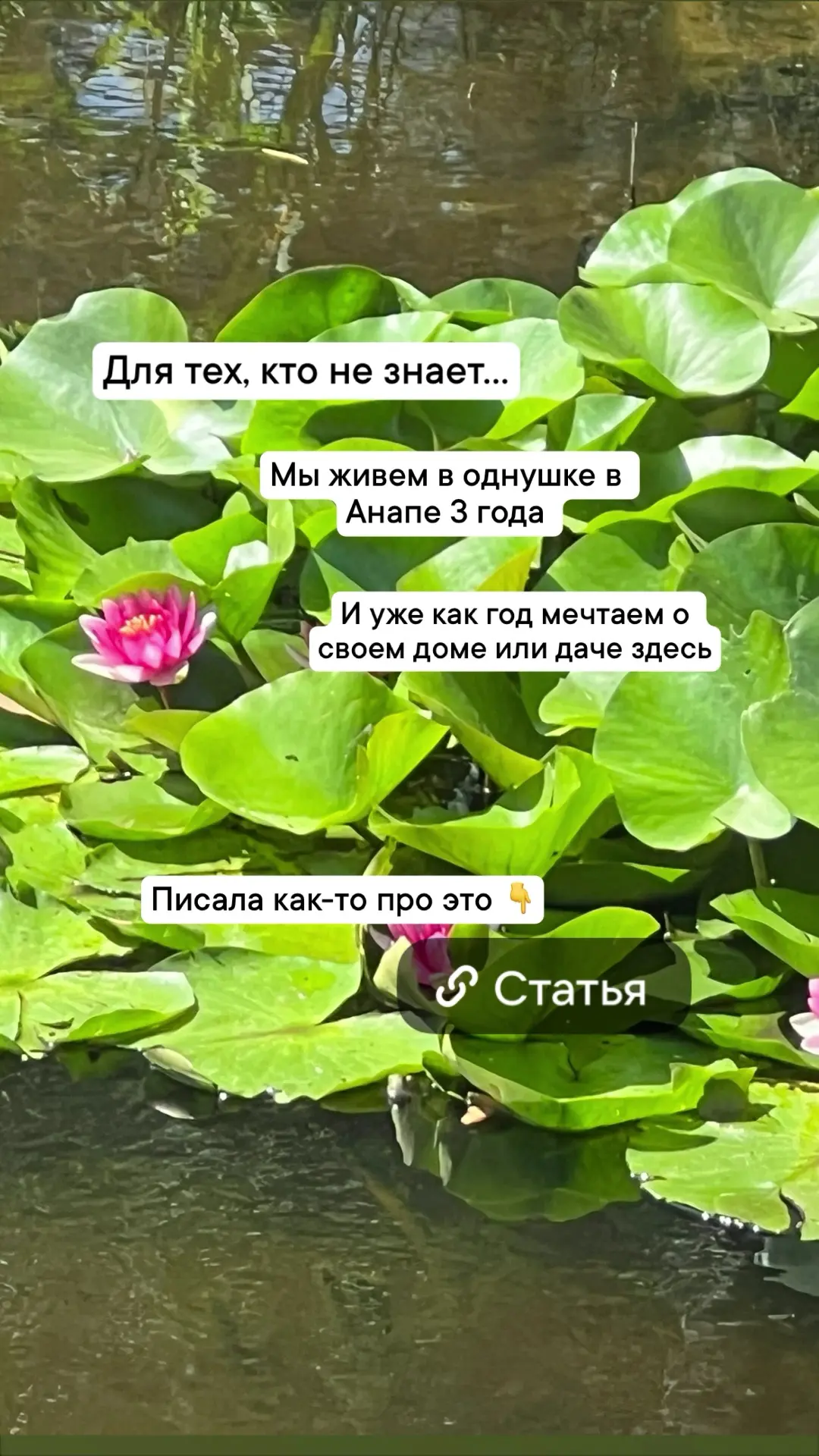 Ссылка на рум тур по прежней мечте:

https://dzen.ru/video/watch/61e55e326c23bf1c55559887

Статья пр