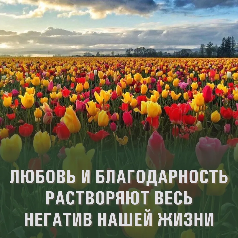 🫶 Психология мыслей и отношений