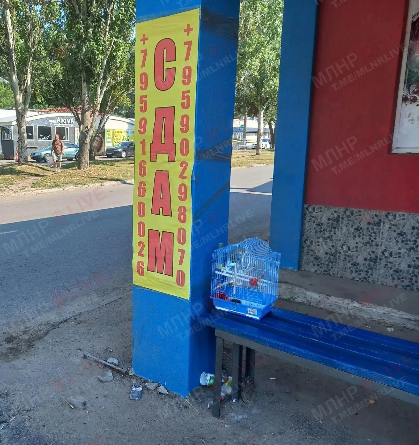 😳 Кто-то оставил попугайчика в клетке на Левченко в Луганске.