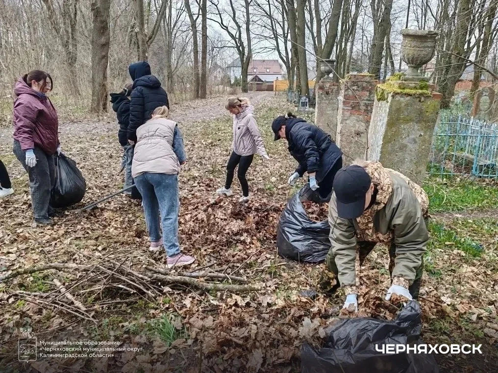Черняховск присоединился к масштабному общерегиональному субботнику   Сегодня во всех муниципалитета