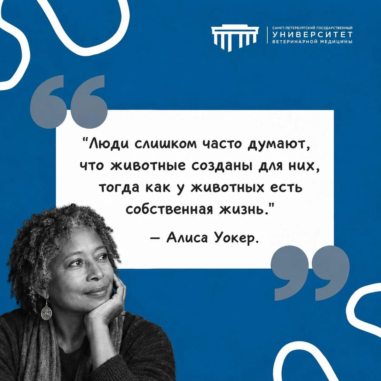#фразадня #СПбГУВМ