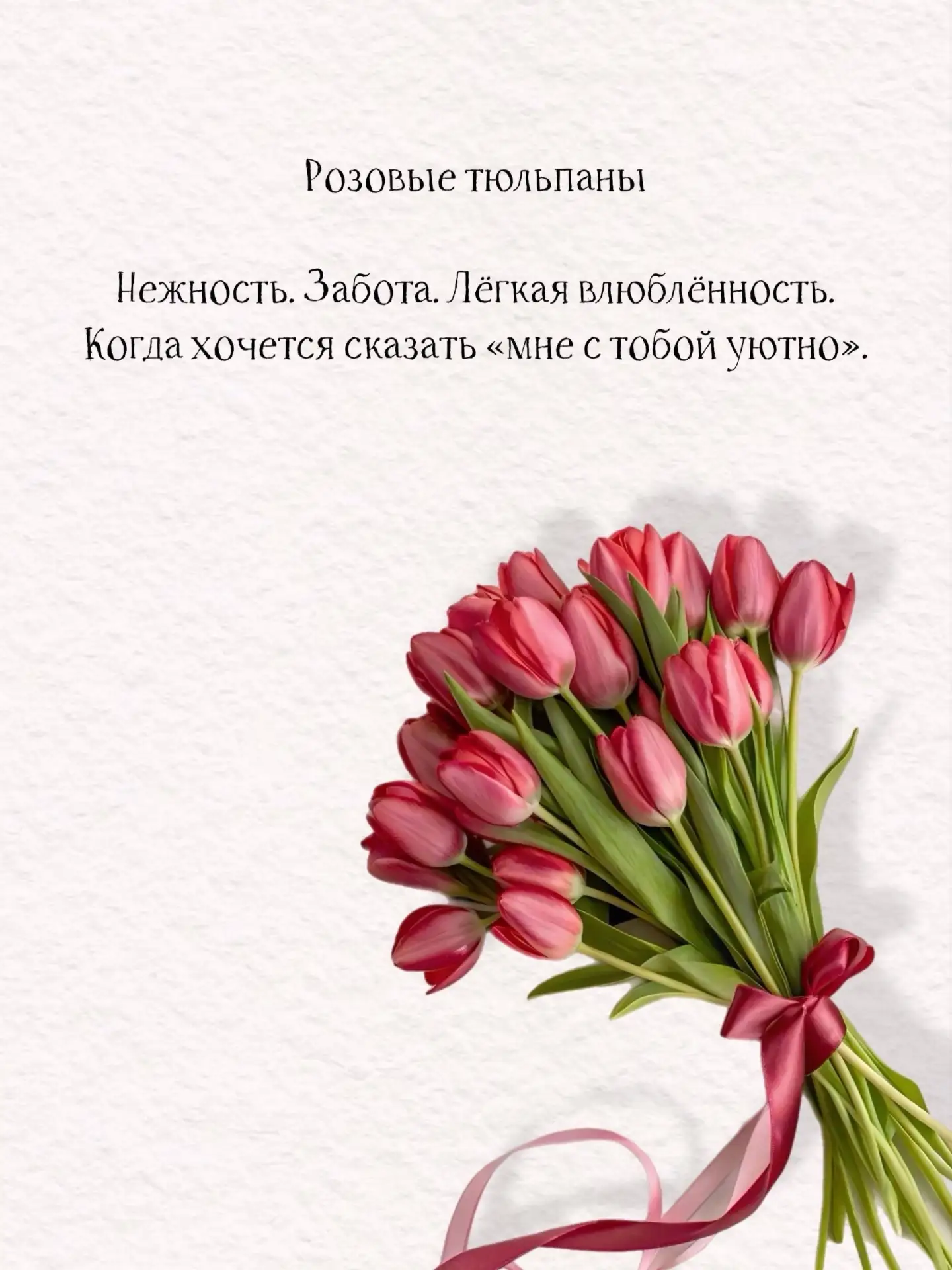 ТЮЛЬПАНЫ ОПТ-РОЗНИЦА ⁣⁣⠀ ⁣⁣⠀ 📍СУРГУТ/НИЖНЕВАРТОВСК⁣⁣⠀ ⁣⁣⠀ ⁣⁣⠀ > Тюльпаны премиум сортов⁣⁣⠀ > ОПТОВАЯ