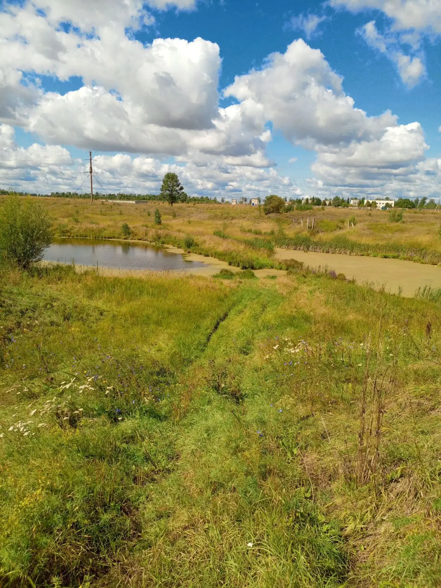 19 августа педагоги школы провели профилактический рейд на водоём, чтобы убедиться, что...