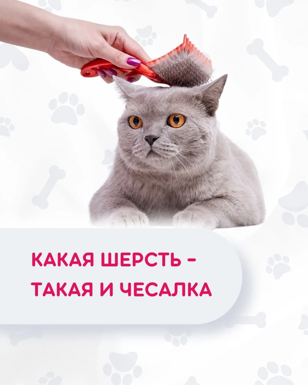 Неразбериха с чесалками больше не страшна!