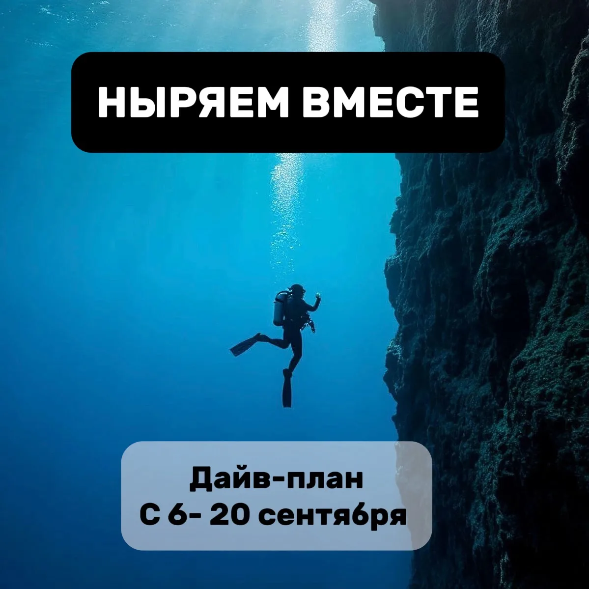 📅 НЫРЯЕМ ВМЕСТЕ: ДАЙВ-ПЛАН НА 2 НЕДЕЛИ