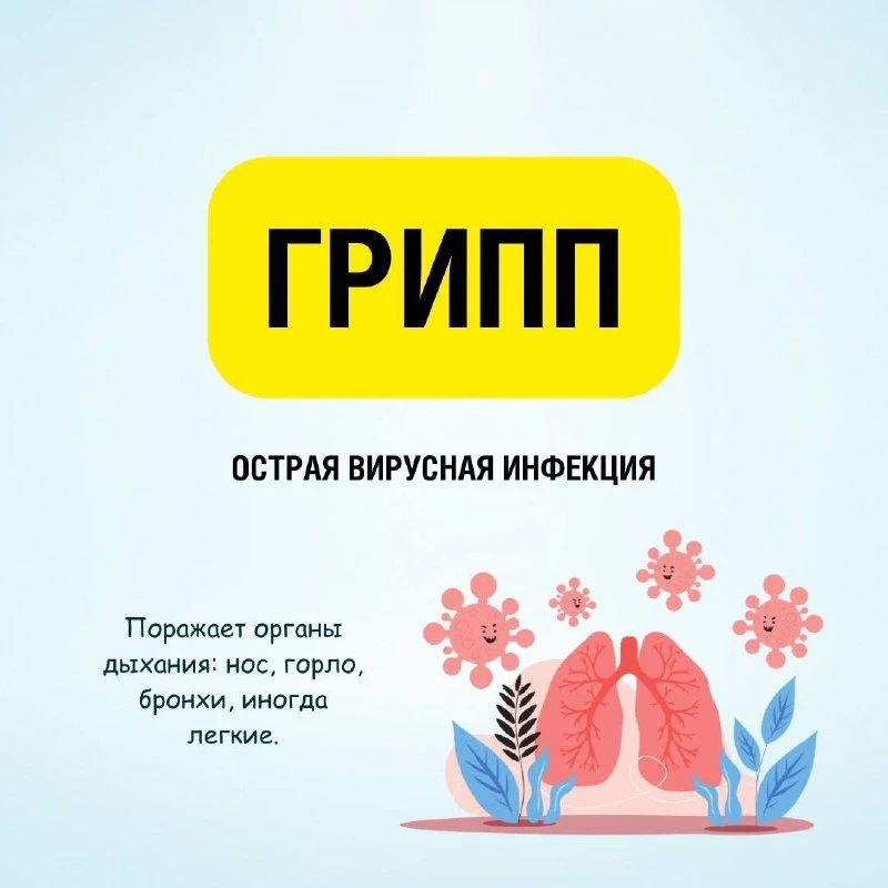 Грипп — это не просто простуда, а опасное инфекционное заболевание, которое может приве...