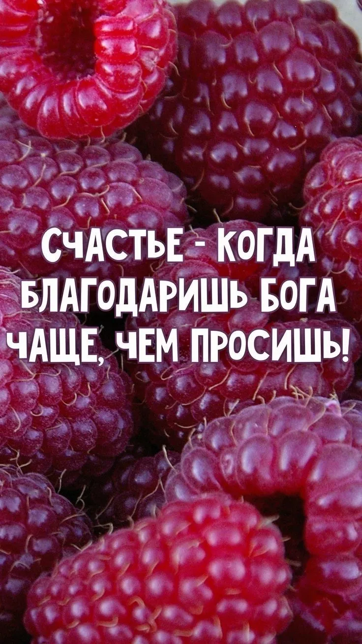 #цитаты