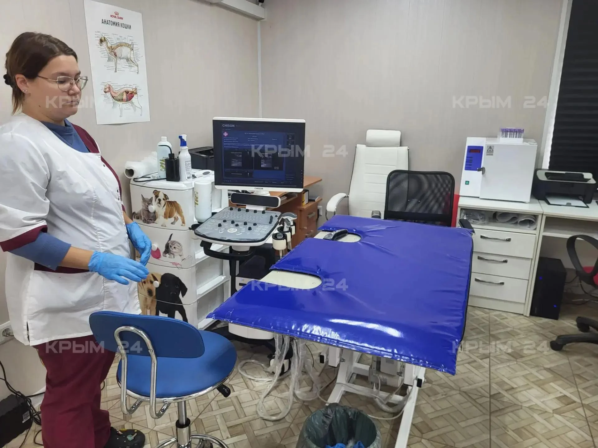 🏥 Ветклиника Феодосии готовится к переезду в отремонтированное знание
